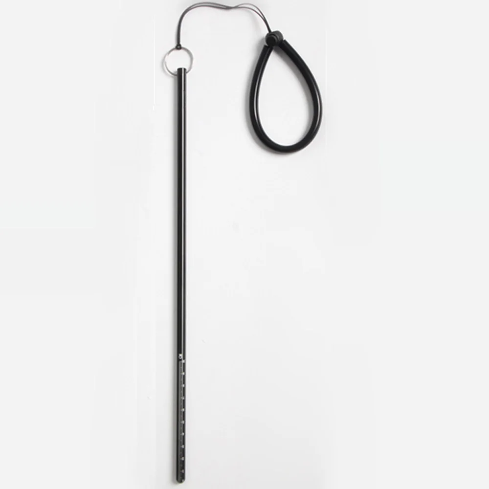 Scuba Dive aragosta Stick punt - Aquatic Diving recensione e prezzo