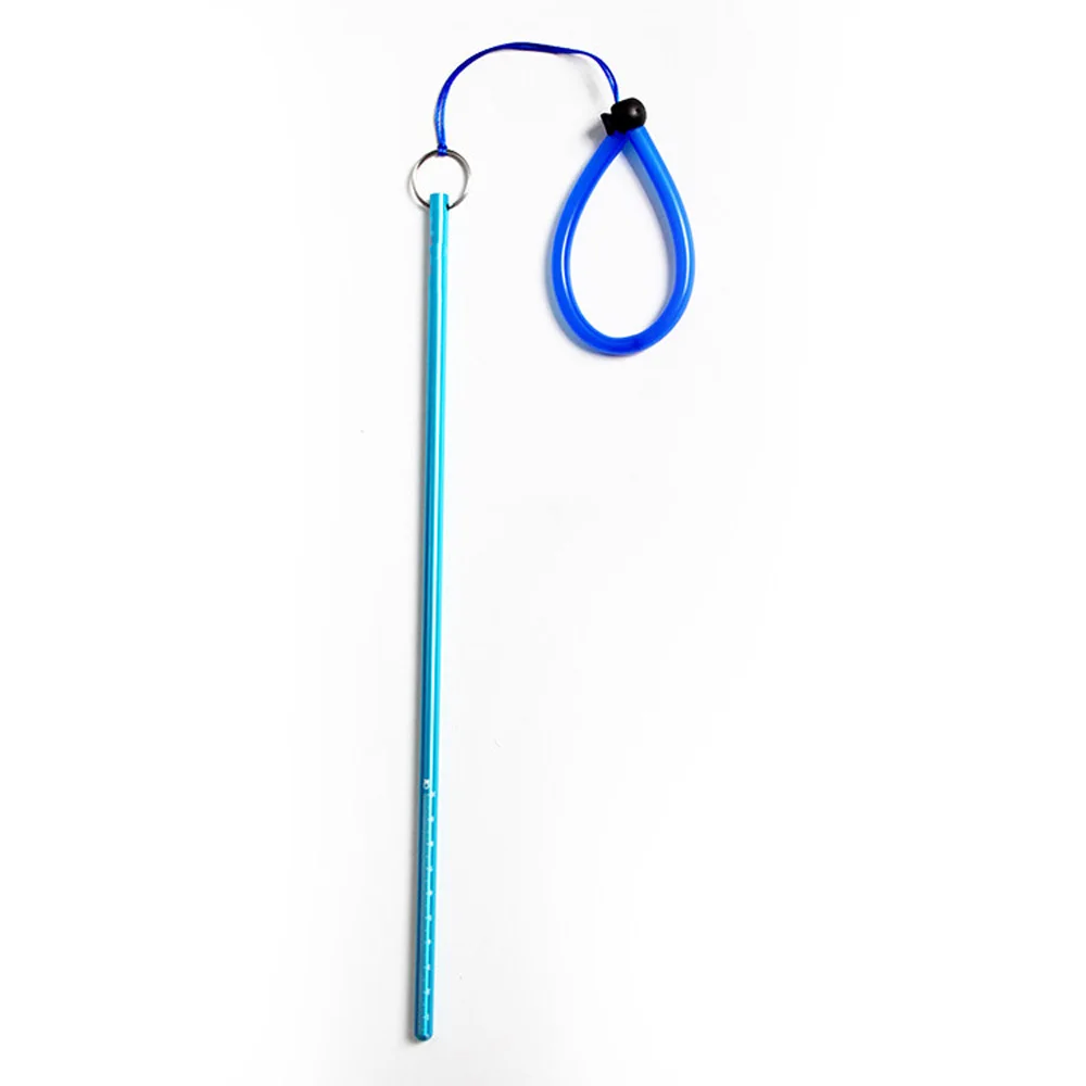 Scuba Dive aragosta Stick punt - Aquatic Diving recensione e prezzo