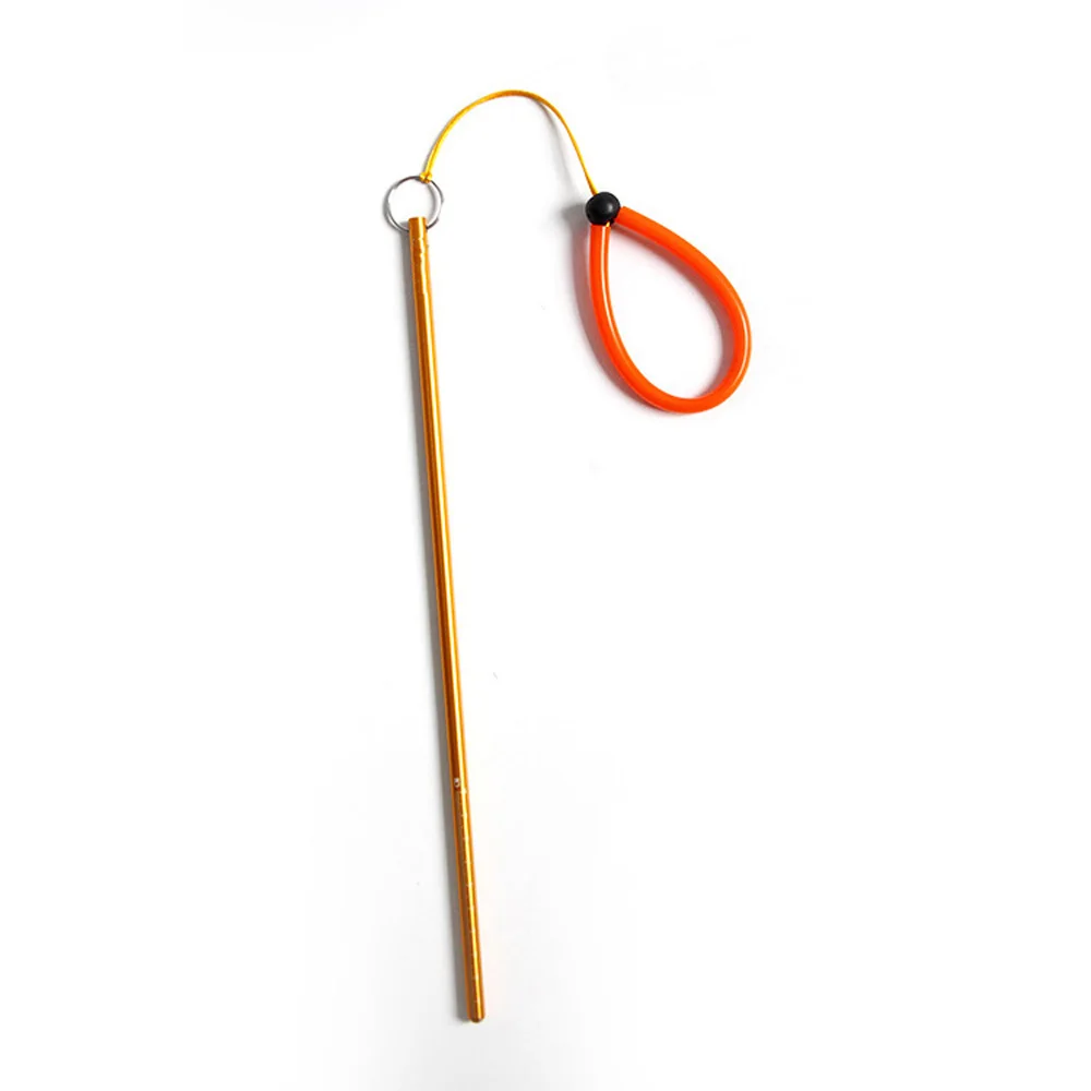 Scuba Dive aragosta Stick punt - Aquatic Diving recensione e prezzo